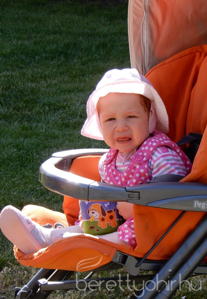 Életfa ültetés a város napján 12